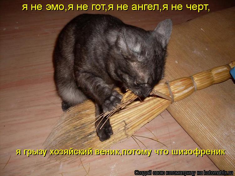я не эмо,я не гот,я не ангел,я не черт, я грызу хозяйский веник,потому что шизофреник... Котоматрица: я не эмо,я не гот,я не ангел,я не черт, я грызу хозяйский веник,потому что шизофреник