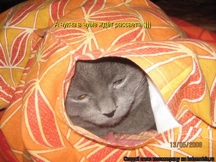А чукча в чуме ждёт рассвета ;)))... Котоматрица: А чукча в чуме ждёт рассвета ;)))