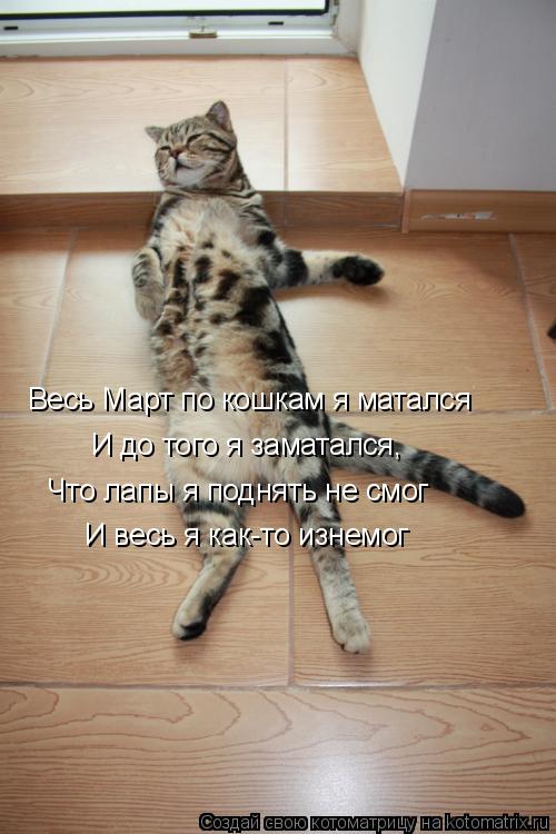 Весь Март по кошкам я матался И до того я заматался, Что лапы я поднять не смог И весь я как-то изнем... Котоматрица: Весь Март по кошкам я матался И до того я заматался, Что лапы я поднять не смог И весь я как-то изнемог
