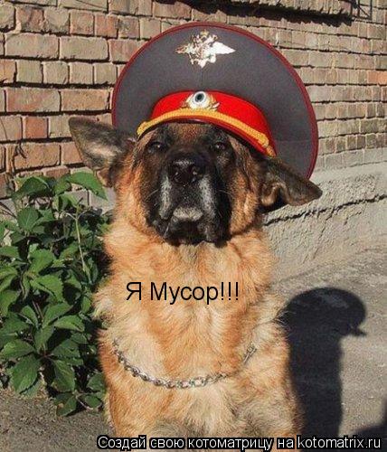 Я Мусор!!!... Котоматрица: Я Мусор!!!