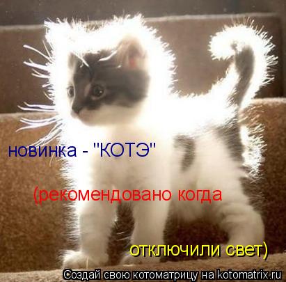 новинка - "КОТЭ" отключили свет) (рекомендовано когда... Котоматрица: новинка - "КОТЭ" отключили свет) (рекомендовано когда