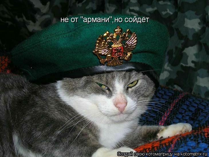 не от "армани",но сойдёт... Котоматрица: не от "армани",но сойдёт