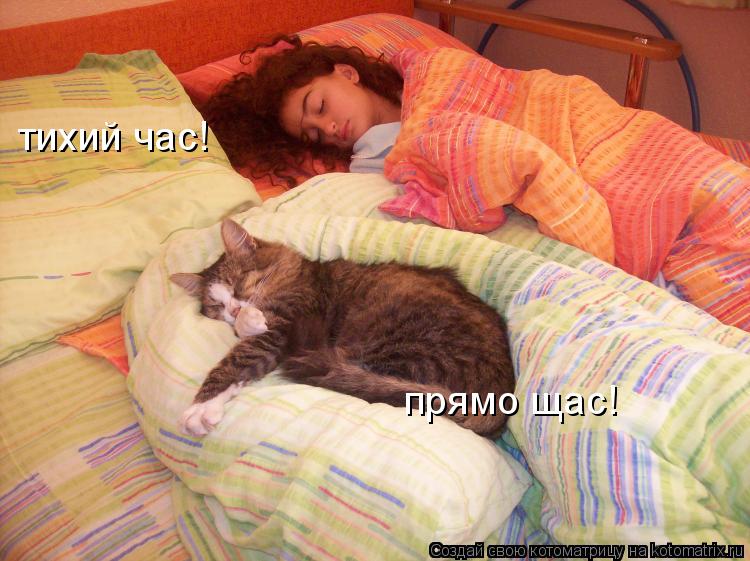 тихий час! прямо щас!... Котоматрица: тихий час! прямо щас!