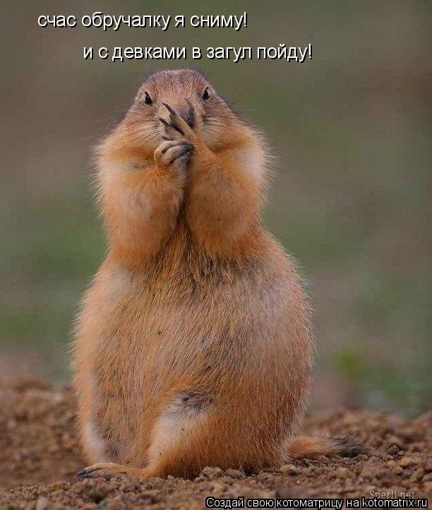 счас обручалку я сниму! и с девками в загул пойду!... Котоматрица: счас обручалку я сниму! и с девками в загул пойду!