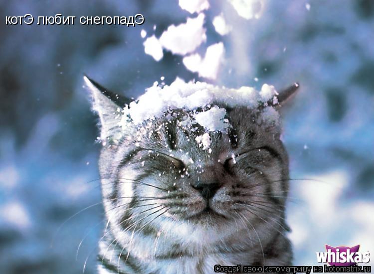 котЭ любит снегопадЭ... Котоматрица: котЭ любит снегопадЭ