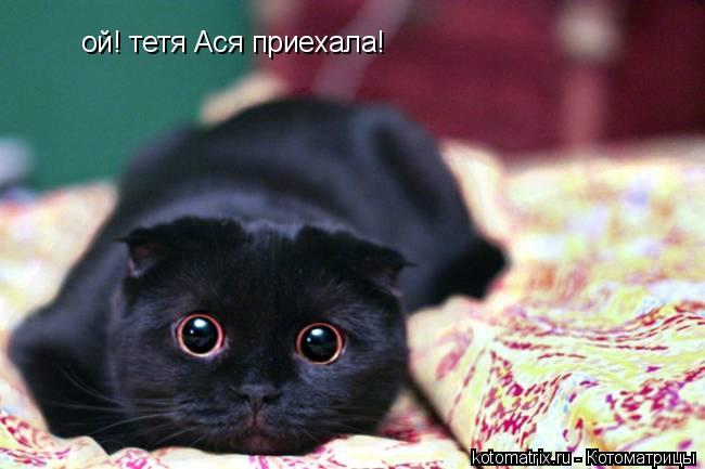 ой! тетя Ася приехала!... Котоматрица: ой! тетя Ася приехала!