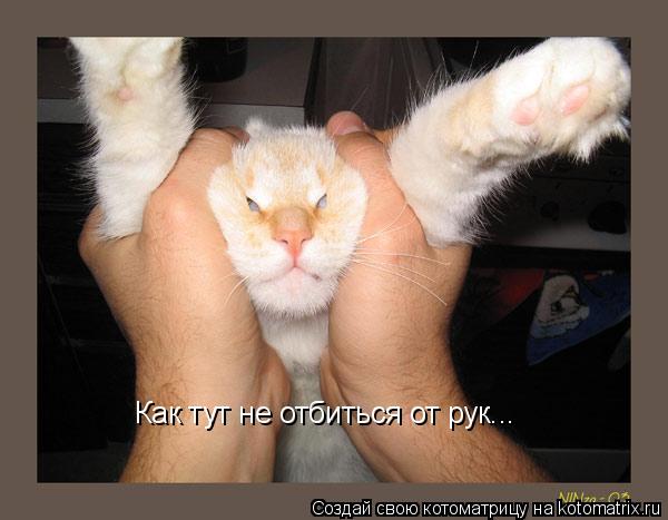 Как тут не отбиться от рук...... Котоматрица: Как тут не отбиться от рук...
