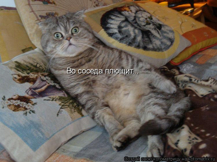 Во соседа плющит...... Котоматрица: Во соседа плющит...