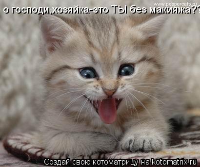 о господи,хозяйка-это ТЫ без макияжа???... Котоматрица: о господи,хозяйка-это ТЫ без макияжа???