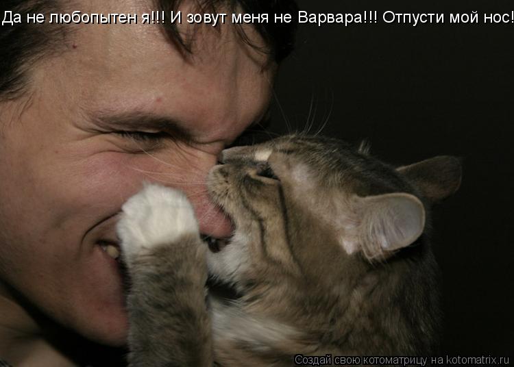 Да не любопытен я!!! И зовут меня не Варвара!!! Отпусти мой нос!... Котоматрица: Да не любопытен я!!! И зовут меня не Варвара!!! Отпусти мой нос!