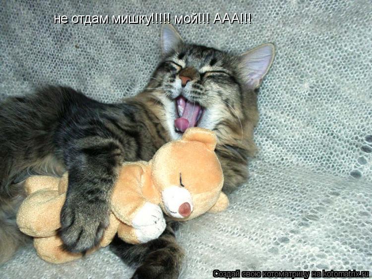 не отдам мишку!!!!! мой!!! ААА!!!... Котоматрица: не отдам мишку!!!!! мой!!! ААА!!!