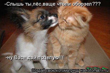 -Слышь ты,пёс,ваще чтоли оборзел??? -ну Вася,дай поцелую!!!... Котоматрица: -Слышь ты,пёс,ваще чтоли оборзел??? -ну Вася,дай поцелую!!!