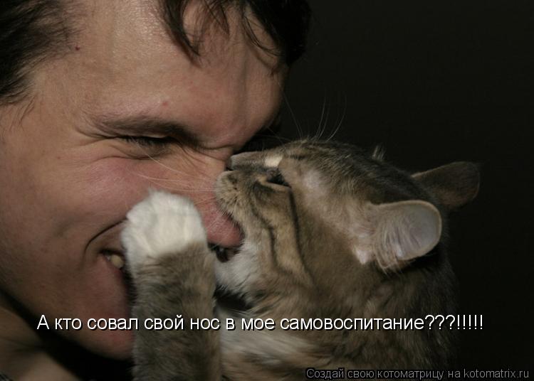 А кто совал свой нос в мое самовоспитание???!!!!!... Котоматрица: А кто совал свой нос в мое самовоспитание???!!!!!