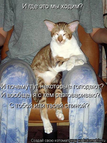 И где это мы ходим? И почему тут некоторые голодают? И вообще, я с кем разговариваю? С тобой или твое... Котоматрица: И где это мы ходим? И почему тут некоторые голодают? И вообще, я с кем разговариваю? С тобой или твоей спиной?
