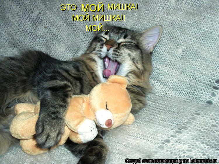 ЭТО МОЙ МИШКА! МОЙ МИШКА!! МОЙ...... Котоматрица: ЭТО МОЙ МИШКА! МОЙ МИШКА!! МОЙ...