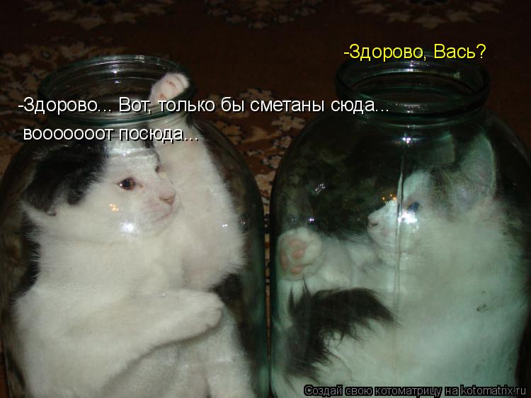 -Здорово, Вась? -Здорово... Вот, только бы сметаны сюда... вооооооот посюда...... Котоматрица: -Здорово, Вась? -Здорово... Вот, только бы сметаны сюда... вооооооот посюда...