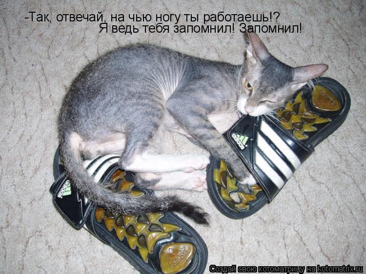 -Так, отвечай, на чью ногу ты работаешь!? Я ведь тебя запомнил! Запомнил!... Котоматрица: -Так, отвечай, на чью ногу ты работаешь!? Я ведь тебя запомнил! Запомнил!