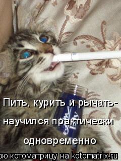 Пить, курить и рычать- научился практически одновременно... Котоматрица: Пить, курить и рычать- научился практически одновременно