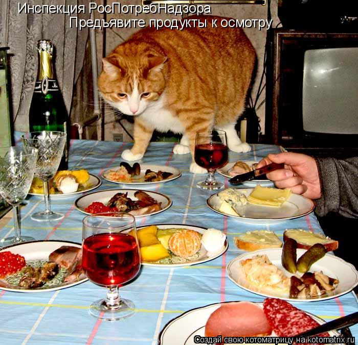 Инспекция РосПотребНадзора Предъявите продукты к осмотру... Котоматрица: Инспекция РосПотребНадзора Предъявите продукты к осмотру