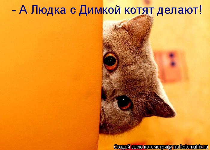 - А Людка с Димкой котят делают!... Котоматрица: - А Людка с Димкой котят делают!