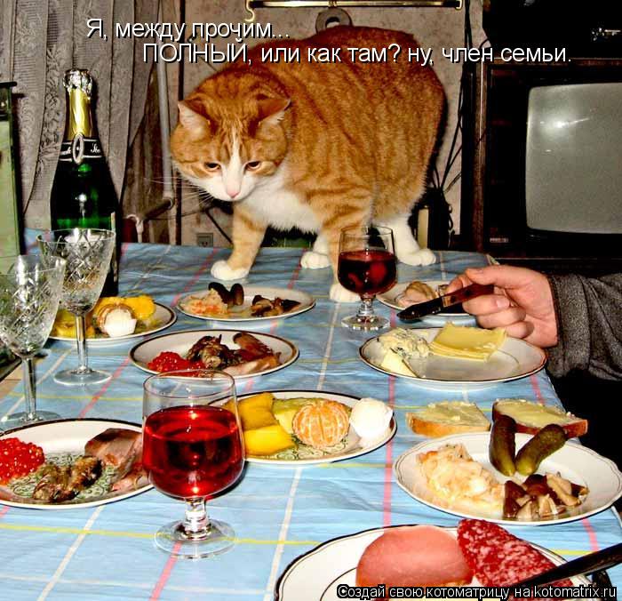Я, между прочим... ПОЛНЫЙ, или как там? ну, член семьи.... Котоматрица: Я, между прочим... ПОЛНЫЙ, или как там? ну, член семьи.