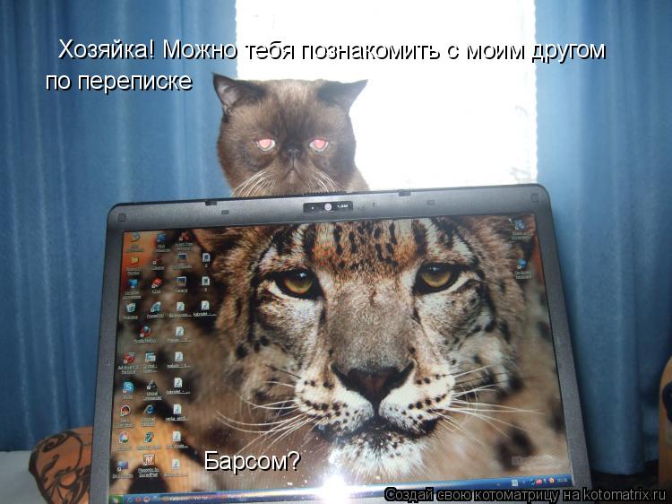 Хозяйка! Можно тебя познакомить с моим другом по переписке Барсом?... Котоматрица: Хозяйка! Можно тебя познакомить с моим другом по переписке Барсом?