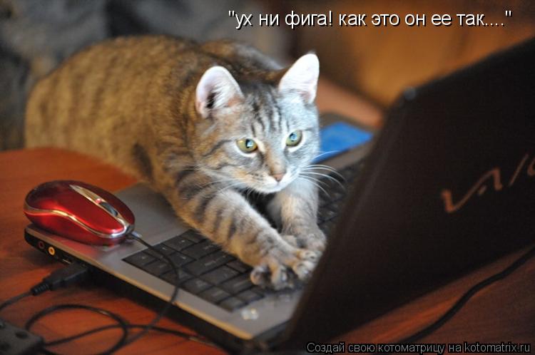 "ух ни фига! как это он ее так...."... Котоматрица: "ух ни фига! как это он ее так...."