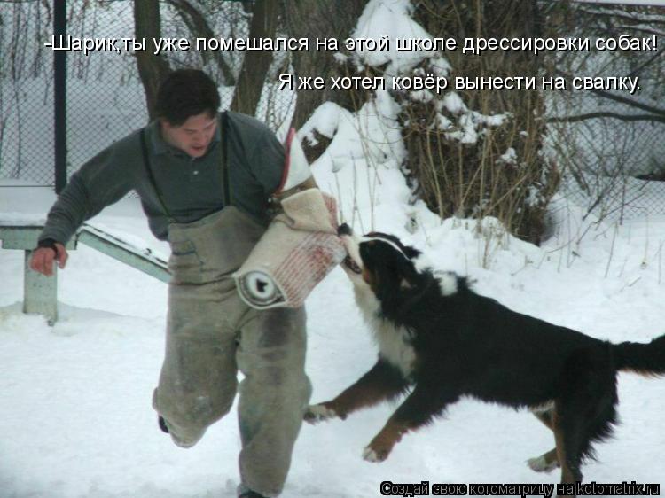 -Шарик,ты уже помешался на этой школе дрессировки собак! Я же хотел ковёр вынести на свалку.... Котоматрица: -Шарик,ты уже помешался на этой школе дрессировки собак! Я же хотел ковёр вынести на свалку.
