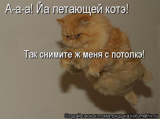 А-а-а! Йа летающей котэ! Так снимите ж меня с потолкэ!... Котоматрица: А-а-а! Йа летающей котэ! Так снимите ж меня с потолкэ!
