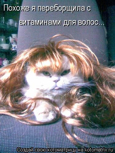 Похоже я переборщила с витаминами для волос...... Котоматрица: Похоже я переборщила с витаминами для волос...