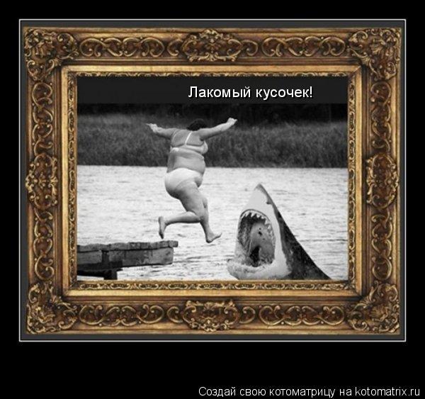 Лакомый кусочек!... Котоматрица: Лакомый кусочек!