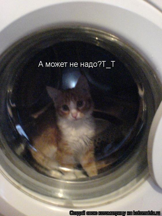 А может не надо?Т_Т... Котоматрица: А может не надо?Т_Т
