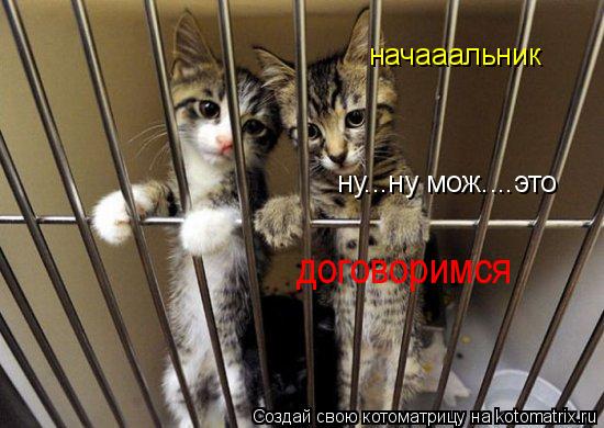 начааальник ну...ну мож....это договоримся... Котоматрица: начааальник ну...ну мож....это договоримся
