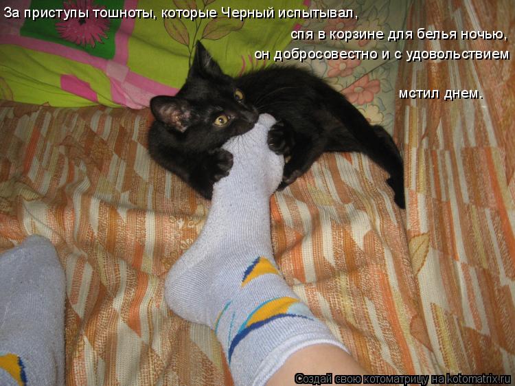 Котоматрица: За приступы тошноты, которые Черный испытывал, спя в корзине для белья ночью, он добросовестно и с удовольствием   мстил днем.