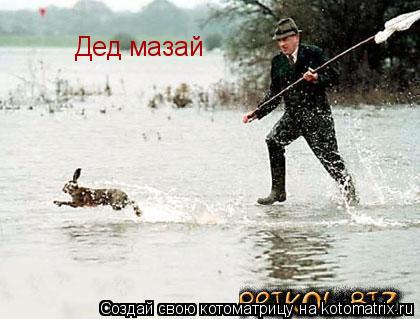 Котоматрица: Дед мазай