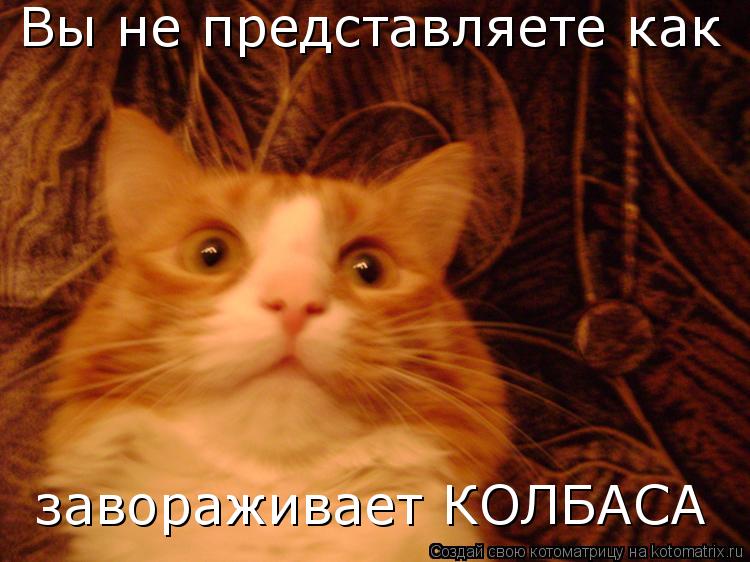 Котоматрица: Вы не представляете как завораживает КОЛБАСА
