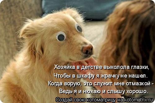 Хозяйка в детстве выколола глазки, Чтобы в шкафу я жрачку не нашел. Когда ворую, это служит мне отмаз... Котоматрица: Хозяйка в детстве выколола глазки, Чтобы в шкафу я жрачку не нашел. Когда ворую, это служит мне отмазкой - Ведь я и нюхаю и слышу хорошо.