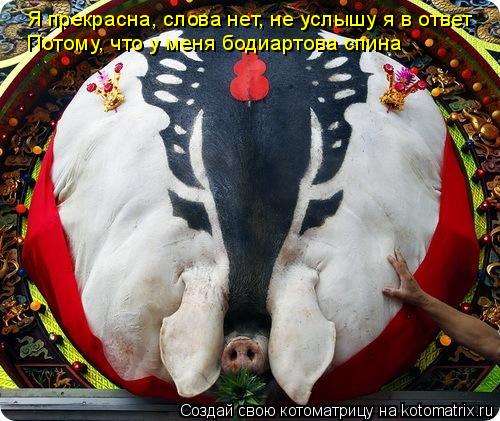 Я прекрасна, слова нет, не услышу я в ответ Потому, что у меня бодиартова спина... Котоматрица: Я прекрасна, слова нет, не услышу я в ответ Потому, что у меня бодиартова спина