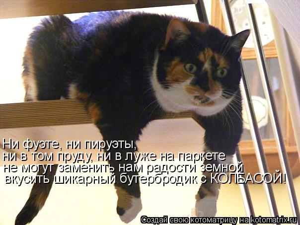 Котоматрица: Ни фуэте, ни пируэты, ни в том пруду, ни в луже на паркете не могут заменить нам радости земной вкусить шикарный бутербродик с КОЛБАСОЙ!