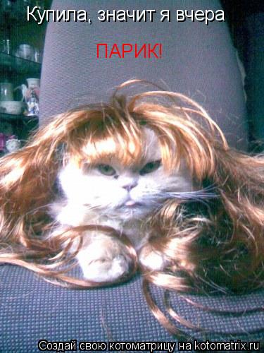 Купила, значит я вчера ПАРИК!... Котоматрица: Купила, значит я вчера ПАРИК!