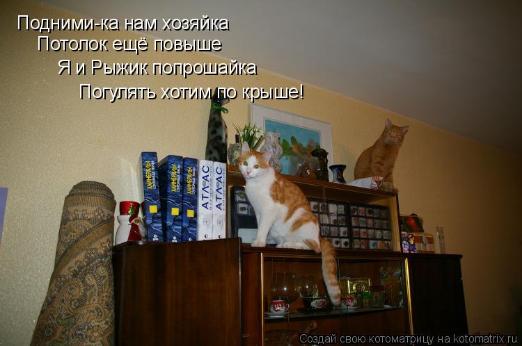 Подними-ка нам хозяйка Потолок ещё повыше Я и Рыжик попрошайка Погулять хотим по крыше!... Котоматрица: Подними-ка нам хозяйка Потолок ещё повыше Я и Рыжик попрошайка Погулять хотим по крыше!