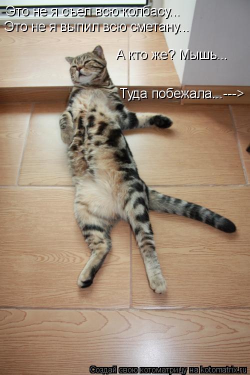 Это не я съел всю колбасу... А кто же? Мышь... Туда побежала...---> Это не я выпил всю сметану...... Котоматрица: Это не я съел всю колбасу... А кто же? Мышь... Туда побежала...---> Это не я выпил всю сметану...