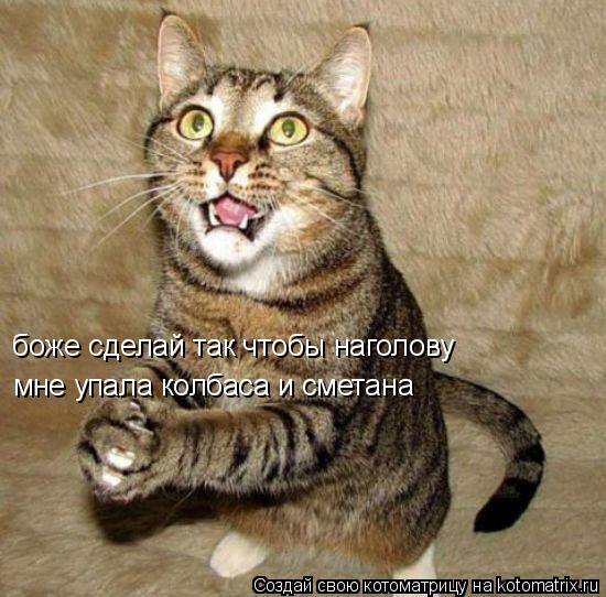 боже сделай так чтобы наголову мне упала колбаса и сметана... Котоматрица: боже сделай так чтобы наголову мне упала колбаса и сметана