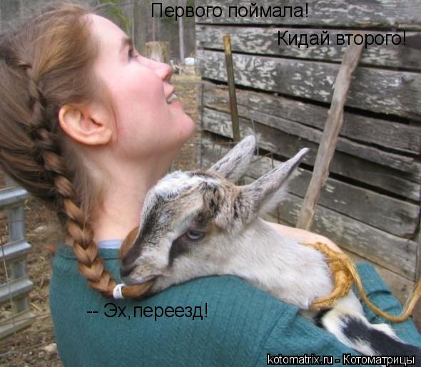 Кидай второго! Первого поймала! -- Эх,переезд!... Котоматрица: Кидай второго! Первого поймала! -- Эх,переезд!