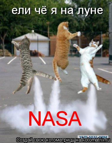 ели чё я на луне NASA... Котоматрица: ели чё я на луне NASA