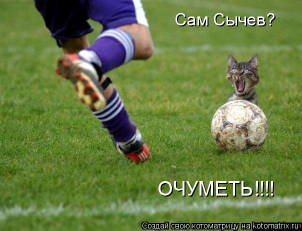 Сам Сычев? ОЧУМЕТЬ!!!!... Котоматрица: Сам Сычев? ОЧУМЕТЬ!!!!