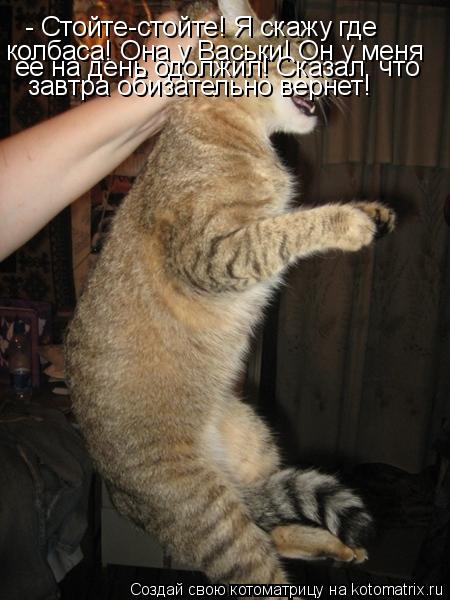 - Стойте-стойте! Я скажу где колбаса! Она у Васьки! Он у меня ее на день одолжил! Сказал, что завтра... Котоматрица: - Стойте-стойте! Я скажу где колбаса! Она у Васьки! Он у меня ее на день одолжил! Сказал, что завтра обизательно вернет!