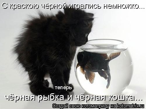 С краскою чёрной игрались немножко... чёрная рыбка и чёрная кошка... теперь... Котоматрица: С краскою чёрной игрались немножко... чёрная рыбка и чёрная кошка... теперь