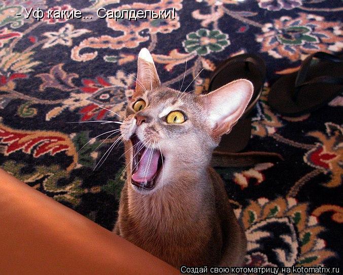 - Уф какие... Сарлдельки!... Котоматрица: - Уф какие... Сарлдельки!