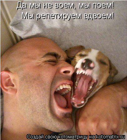 Да мы не воем, мы поем! Мы репетируем вдвоем!... Котоматрица: Да мы не воем, мы поем! Мы репетируем вдвоем!